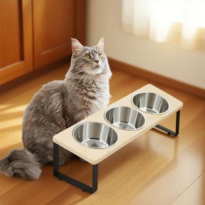 Uplifted Finds Zen Tier 15 Degrees Ergonomic Triple Station Zen Tier 15 Degrees Ergonomic Triple Station