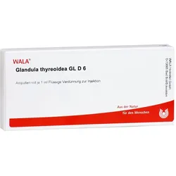 Glandula Thyreoidea Gl D 6
