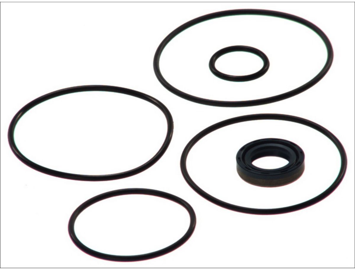 Hydraulikpumpe, Lenkung DT Spare Parts 4.90064