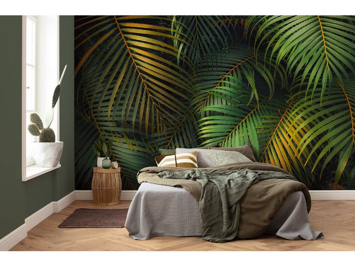 Papier peint Amazon Fern 400 x 250 x 0cm