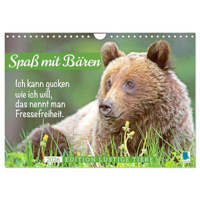 Spaß mit Bären: Edition lustige Tiere (Wandkalender 2026 DIN A4 quer), CALVENDO Monatskalender