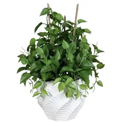 Kunstpflanze Philo 55 cm Kunststoff Grün