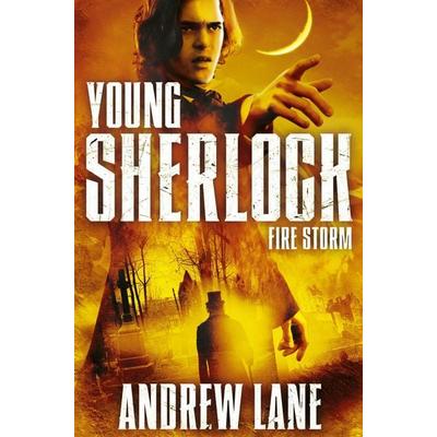 Fire Storm, Taschenbuch von Andrew Lane, Macmillan Publishers International, 978-1-4472-6561-0