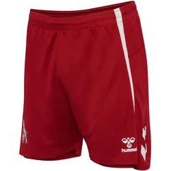 hummel 1. FC Köln Trainingsshorts 2025/26 3782 - chili pepper 3XL