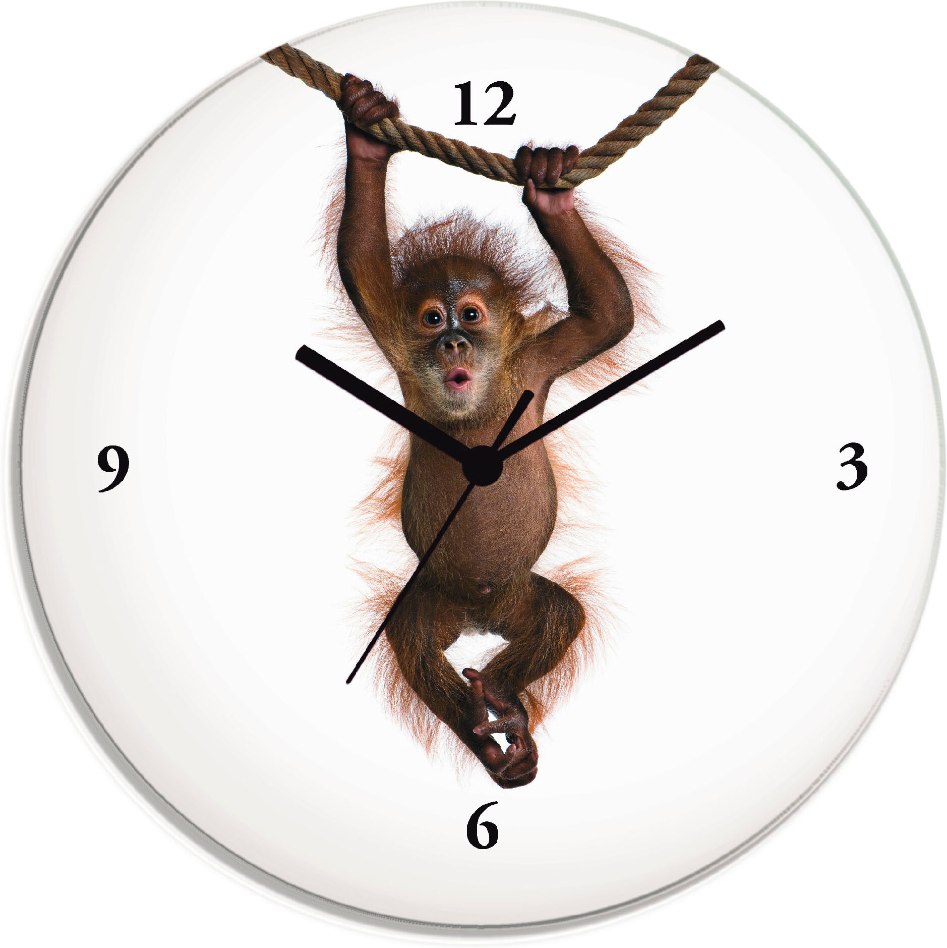 Wanduhr ARTLAND "Baby Sumatra Orang Utan hängt an Seil", weiss (weiß), T:1,8cm, Wanduhren, Wanduhr, wahlweise mit Quarz- oder Funkuhrwerk, lautlos ohne Tickgeräusche weiß Ø 30cm, Quarzuhr
