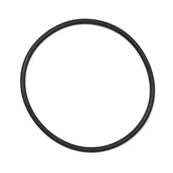 Bosch O-Ring (BDU2xx)