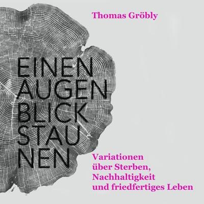 Einen Augenblick staunen - Thomas Gröbly, Audio, 4066004760698