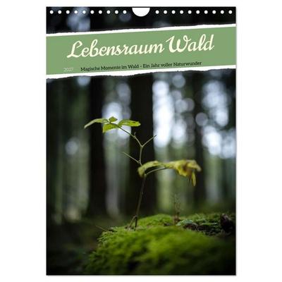 Lebensraum Wald (Wandkalender 2027 DIN A4 hoch), CALVENDO Monatskalender