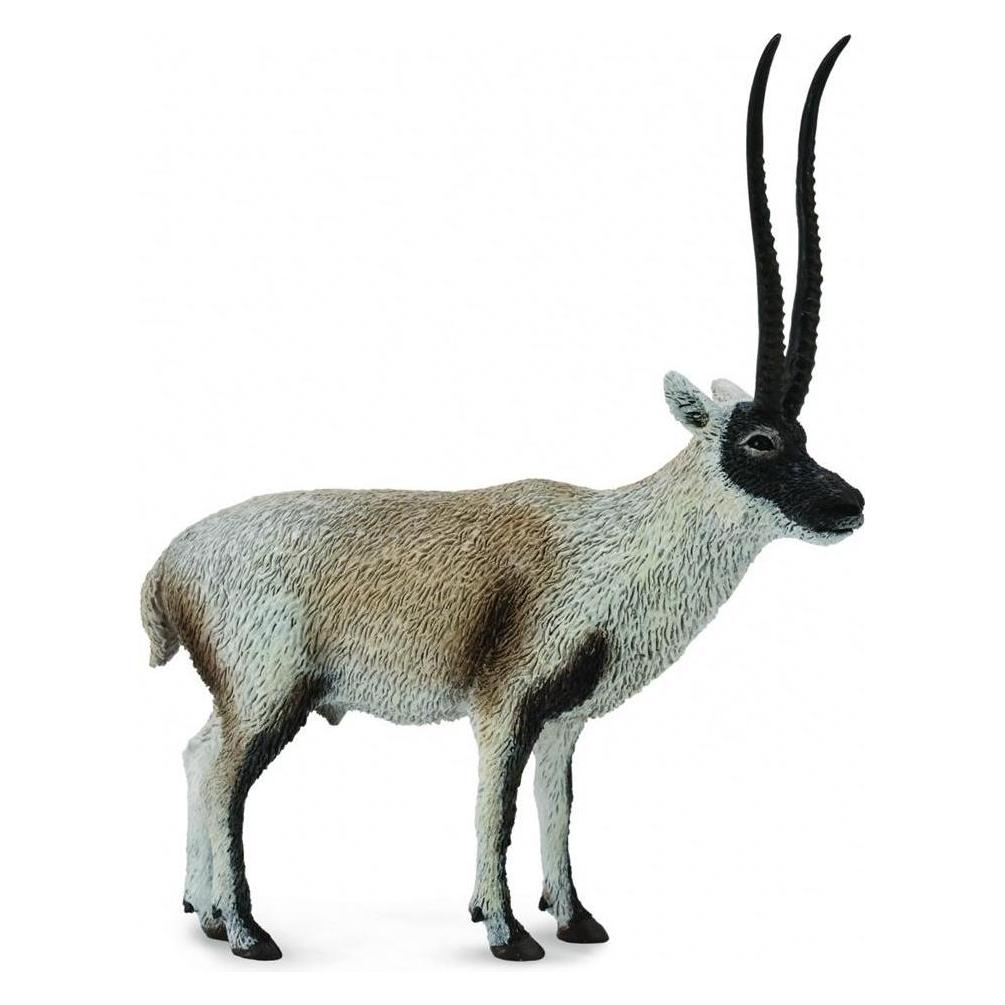 Collecta Chiru Figur - Tibetische Antilope (004-88721) (004-88721)