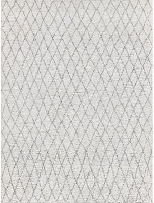 Exquisite Rugs Giorgio Indoor Outdoor Reversible Grey/Ivory Area Rug.