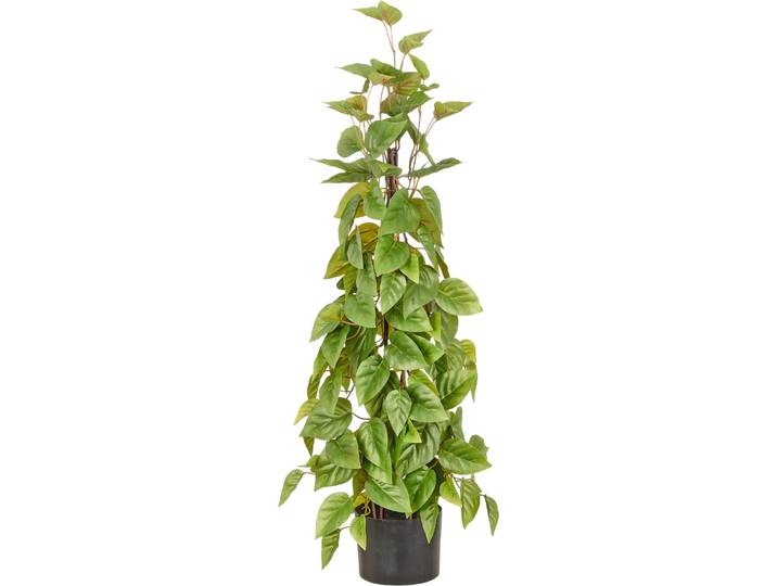 Kunstbaum CREATIV GREEN Philodendron scandens , grün, H:95cm, Obermaterial: 100% Kunststoff, Kunstpflanzen, Kunstbaum, in Pyramidenform