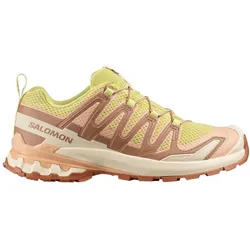 Salomon Damen Xa Pro 3D V9 grün 44.0