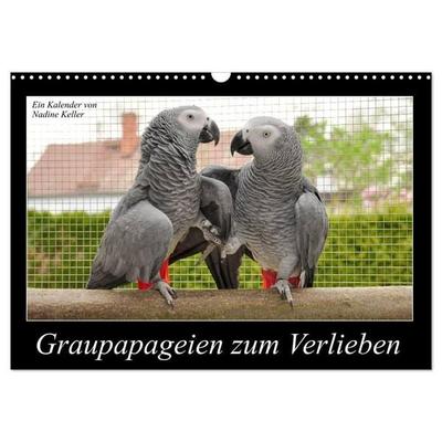 Graupapageien zum Verlieben (Wandkalender 2027 DIN A3 quer), CALVENDO Monatskalender