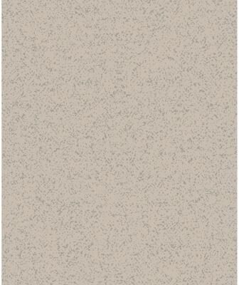 Antonina Vella Grey & Silver Sprinkle Wallpaper