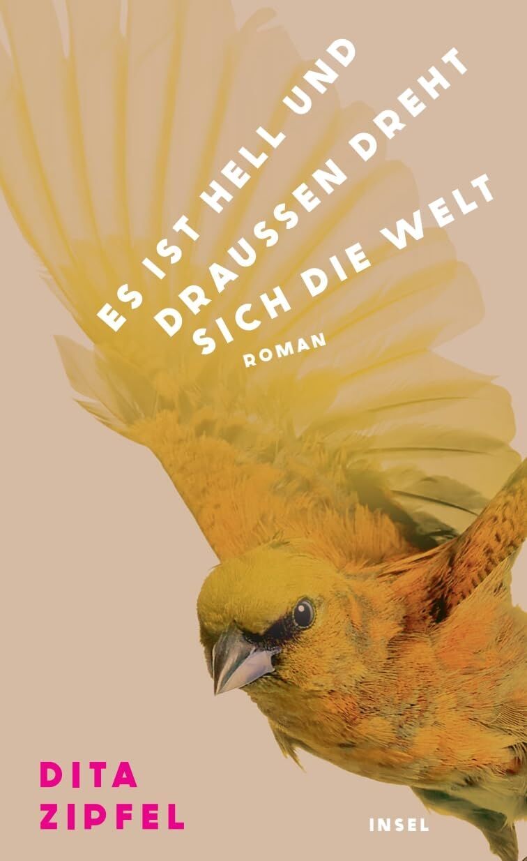 Dita Zipfel - Es ist hell und draußen dreht sich die Welt - Preis vom 13.10.2026 19:28:25 h