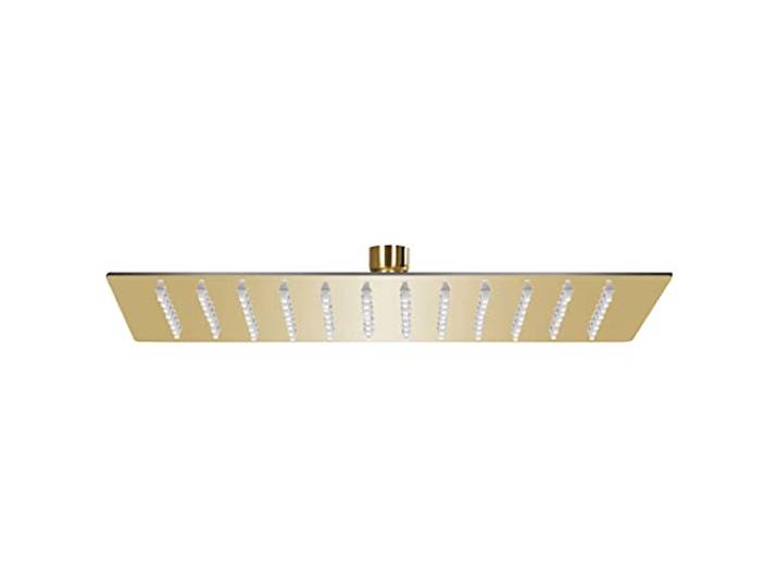 vidaXL Pomme de Douche Pluie INOX 30x20 cm Rectangulaire Doré