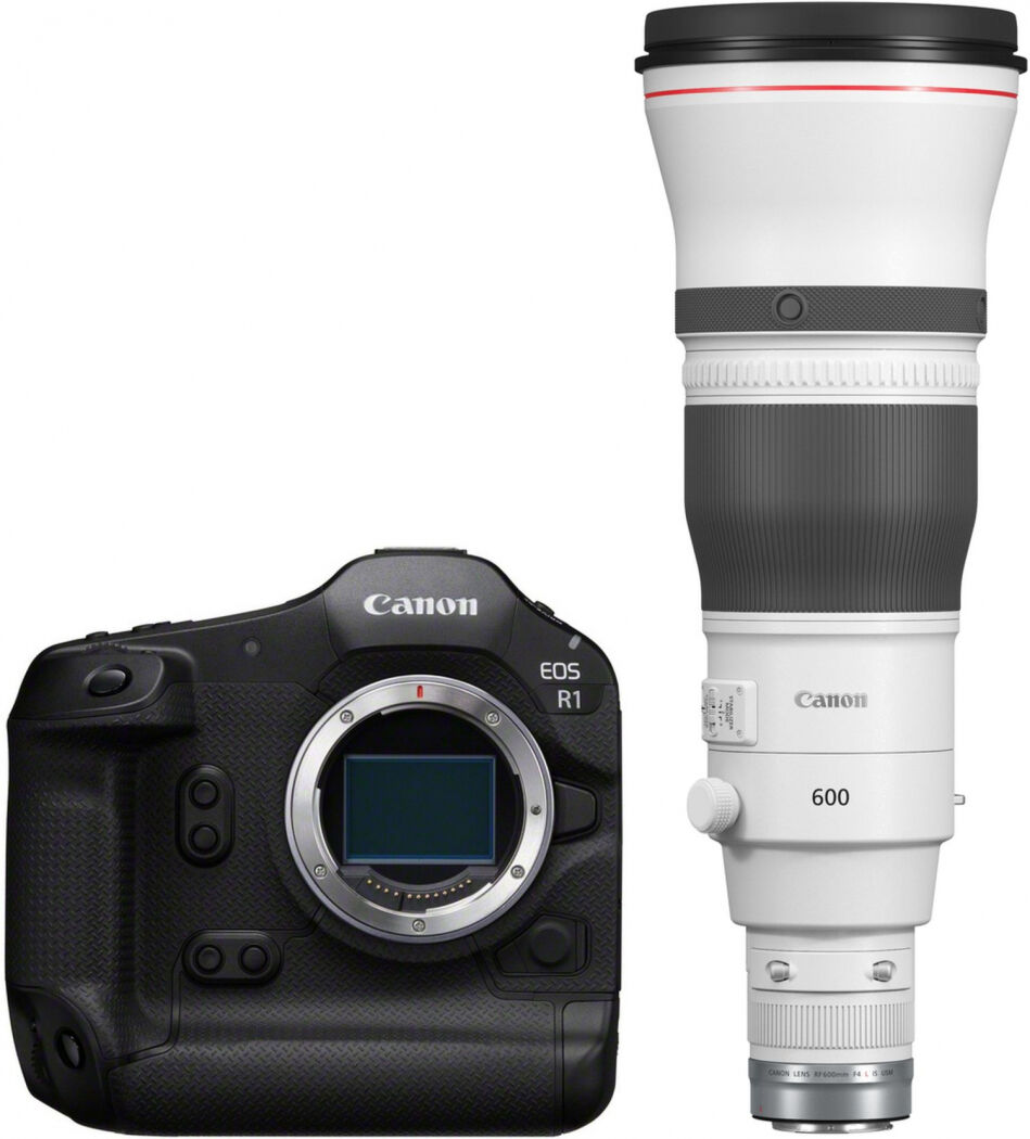 Canon EOS R1 + RF 600mm f4 L IS USM