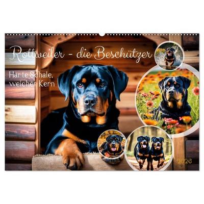 Rottweiler - die Beschützer (Wandkalender 2026 DIN A2 quer), CALVENDO Monatskalender
