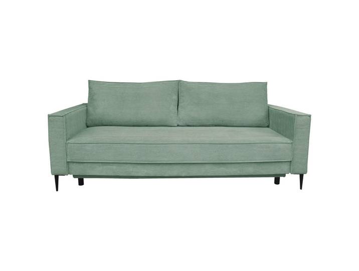 Carryhome Schlafsofa, Salbeigrün, Metall, 2-Sitzer, Füllung: Schaumstoff, 222x93x98 cm, Liegefunktion, Rücken echt, haustierfreundlicher Bezug, Wohnzimmer, Sofas & Couches, Schlafsofas, Schlafsofas mit Bettkasten