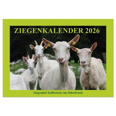 Ziegenkalender 2026 (Wandkalender 2026 DIN A4 quer), CALVENDO Monatskalender
