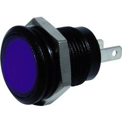 Signal Construct SKED12414 LED-Signalleuchte Blau 24 V/DC 250 mcd