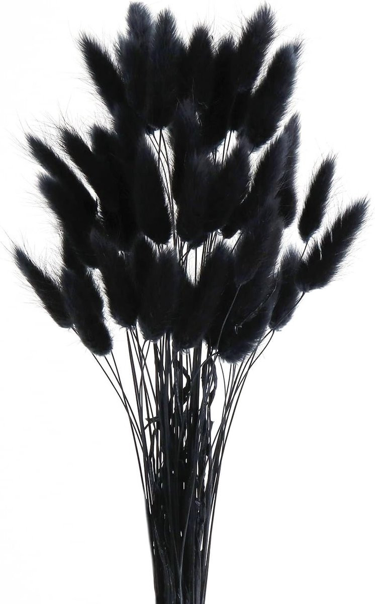 Gedroogde Konijnenstaartbloem - 50 stuks zachte bloemen voor decoratie van je woonkamer
