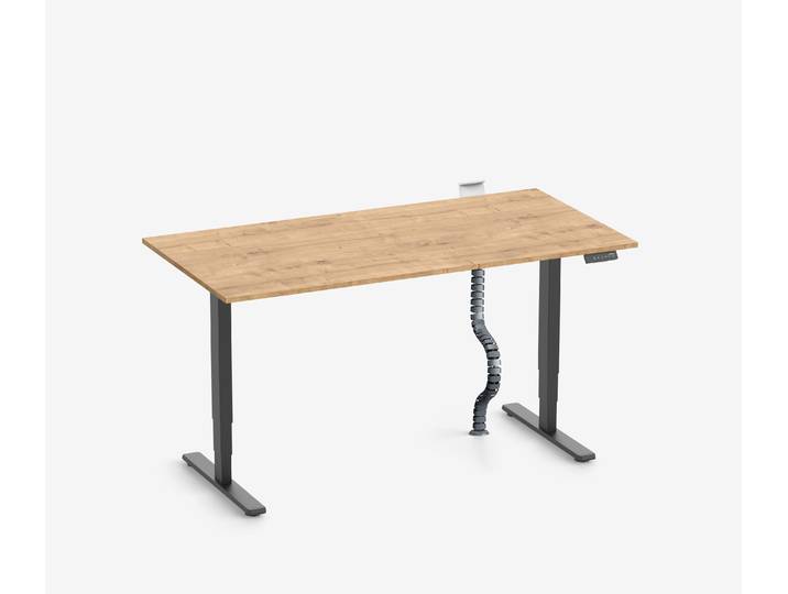 FOKUS Schreibtisch + Steckleistenhalter + Kabelschlange Schwarz Eiche 120x70