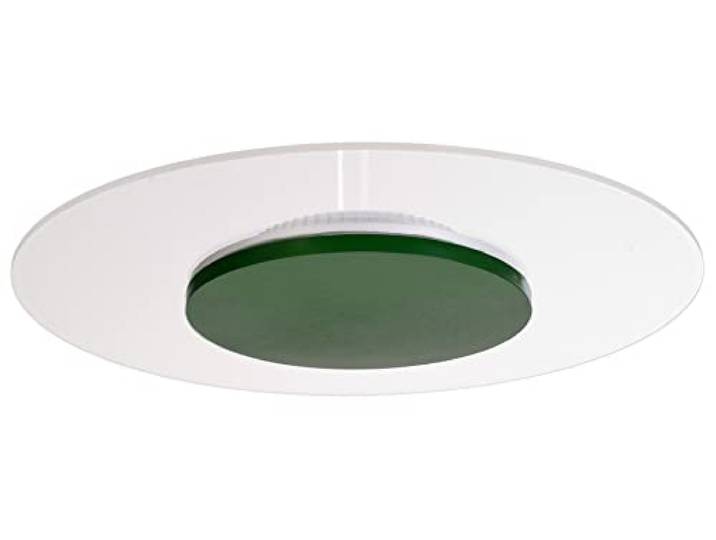 Deko-Light LED-Deckenleuchte Deckenlampe Innenbereich dimmbar 360°-Licht Zaniah Grün 24W