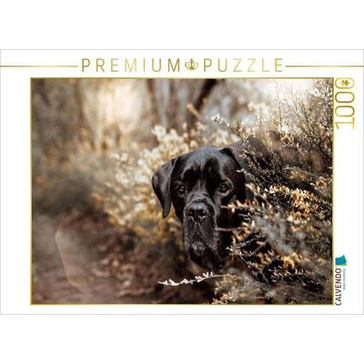 CALVENDO Puzzle Cane Corso | 1000 Teile Lege-Größe 64x48cm Foto-Puzzle für glückliche Stunden