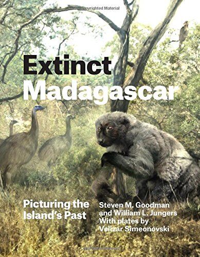 Goodman, Steven M. - Extinct Madagascar: Picturing the Island's Past - Preis vom 30.09.2026 09:01:18 h