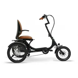 SachsenRAD E-Dreirad T6 Comfort mit Sitz und Alarmanlage