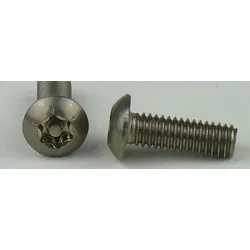 Flachrundkopf-Sicherheitsschrauben Innensechsrund - Edelstahl A2 - M 10x55 - TX-PIN 45