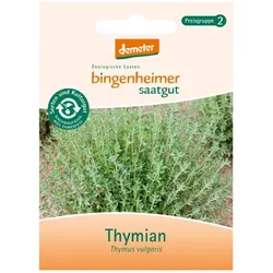 Thymian - Thymus vulgaris