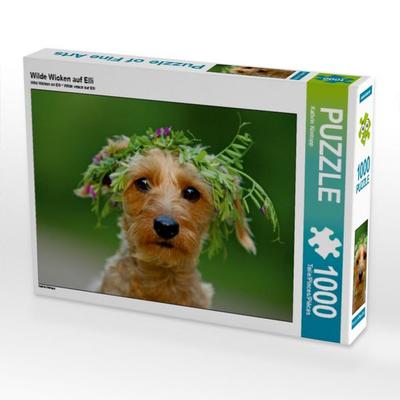 CALVENDO Puzzle Wilde Wicken auf Elli 1000 Teile Puzzle quer | 1000 Teile Lege-Größe 64 × 48 cm Foto-Puzzle für glückliche Stunden