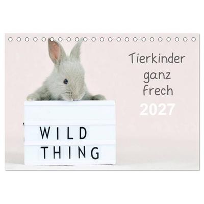 Tierkinder ganz frech (Tischkalender 2027 DIN A5 quer), CALVENDO Monatskalender