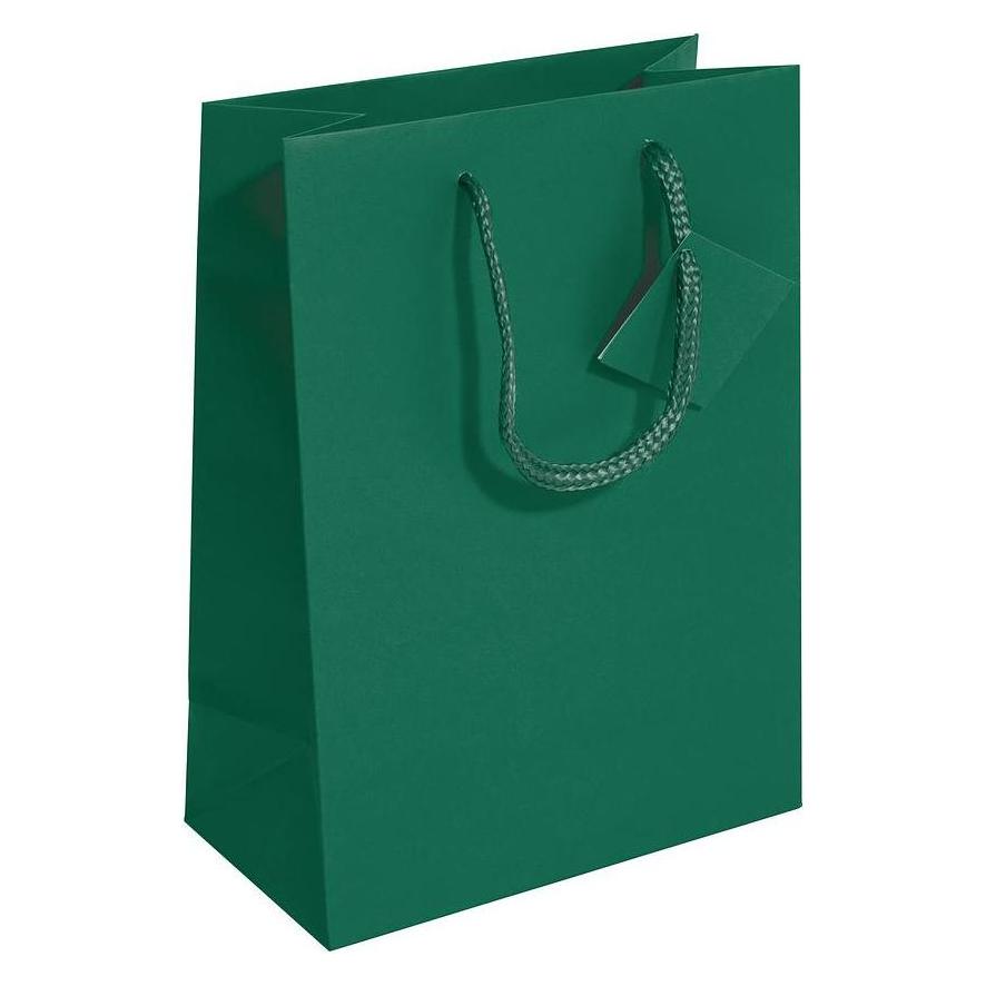 Sigel 5 Geschenktaschen grün 17,0 x 23,0 cm (5x) (GT501)