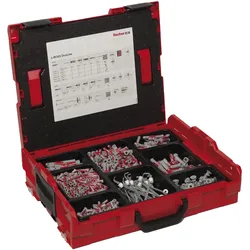 Vasalat, Dübel, Dübel und Schrauben Set im praktischen Sortimentskoffer 3279-teilig