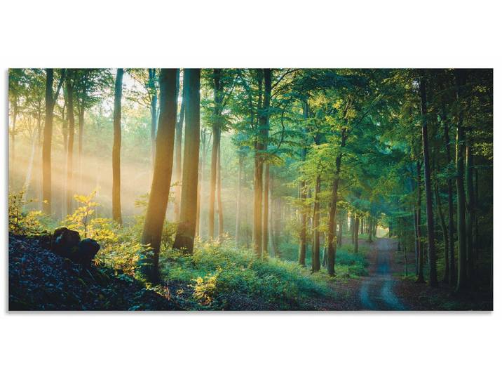 Alu-Dibond-Druck ARTLAND Herbstmorgen im Wald , grün (farbe bild(er): grün), B:100cm H:50cm, Bilder, Alu-Dibond-Druck, für Innen- und Aussenbereich geeignet, Outdoorbild