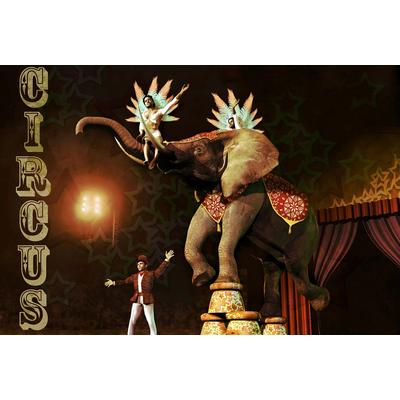 Fototapete PAPERMOON "Circus", bunt, B:5m L:2,8m, Vlies, Tapeten