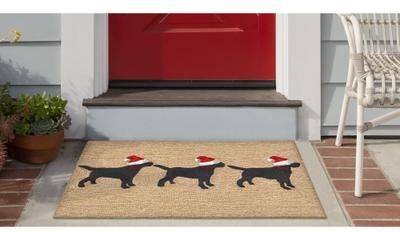 Liora Manne Lush Decor Merry Labs Outdoor Rug