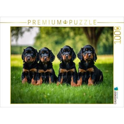 CALVENDO Puzzle Knuffige Gordon Setter Welpen | 1000 Teile Lege-Größe 64x48cm Foto-Puzzle für glückliche Stunden
