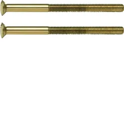 Hager Zwei Loch Schraube mit Linse System TS