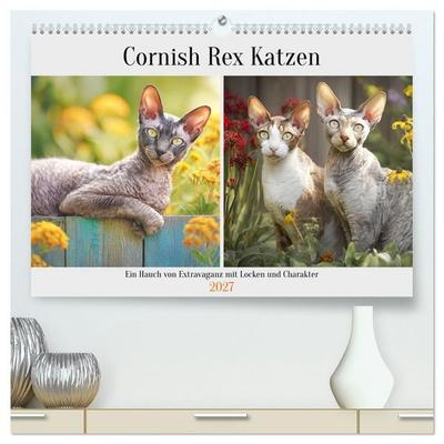 Cornish Rex Katzen. Ein Hauch von Extravaganz mit Locken und Charakter (hochwertiger Premium Wandkalender 2027 DIN A2 quer), Kunstdruck in Hochglanz