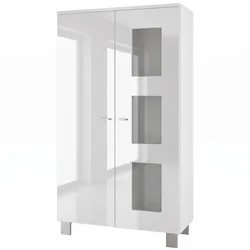 VITRINE Denjo Tür in Weiß Hochglanz