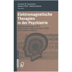 Elektromagnetische Therapien in der Psychiatrie, Fachbücher von B. Wild, M. Bartels, G. W. Eschweiler