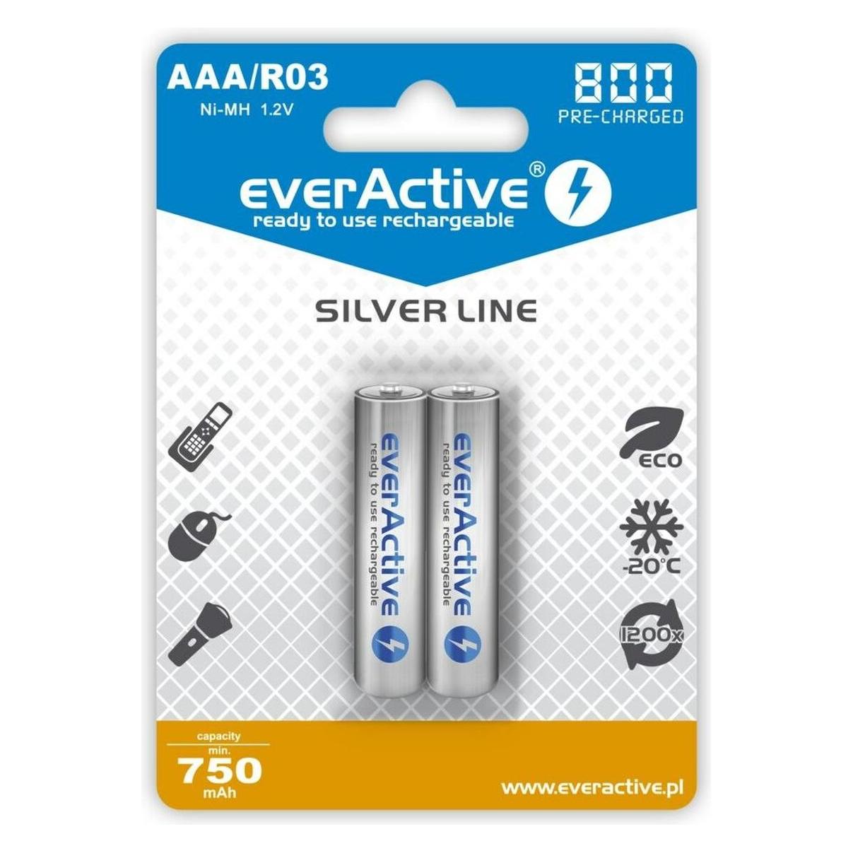 Everactive Silver Line (2 Stk., AAA, 800 mAh) (EVHRL03-800)