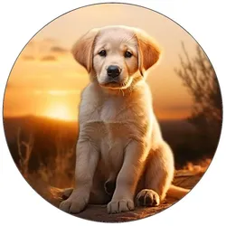 Essbares Papier für Labrador-Welpen, 19,5 cm
