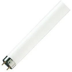 Philips, Leuchtmittel, Master TL-D Super (G13, 3350 lm, 1x)