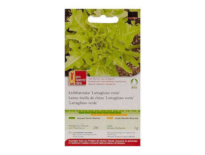 ProSpecieRara Bio Eichblattsalat Lattughino 1 Portion