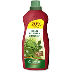 Chrysal Flüssigdünger für Grünpflanzen und Palmen - 1200 ml